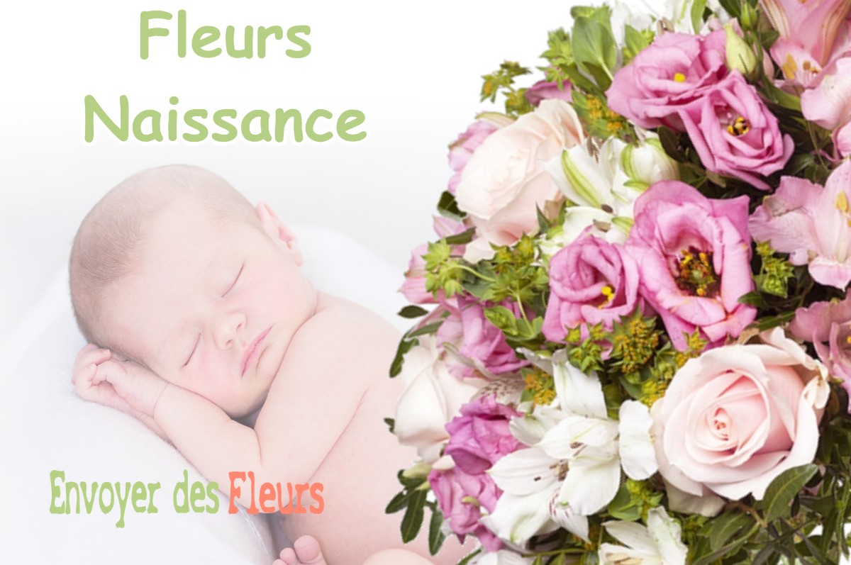 lIVRAISON FLEURS NAISSANCE à SAINT-JEAN-DE-SOUDAIN